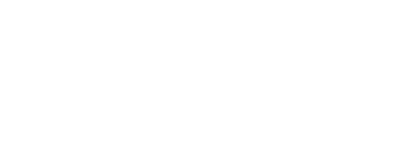 Wedding Party 